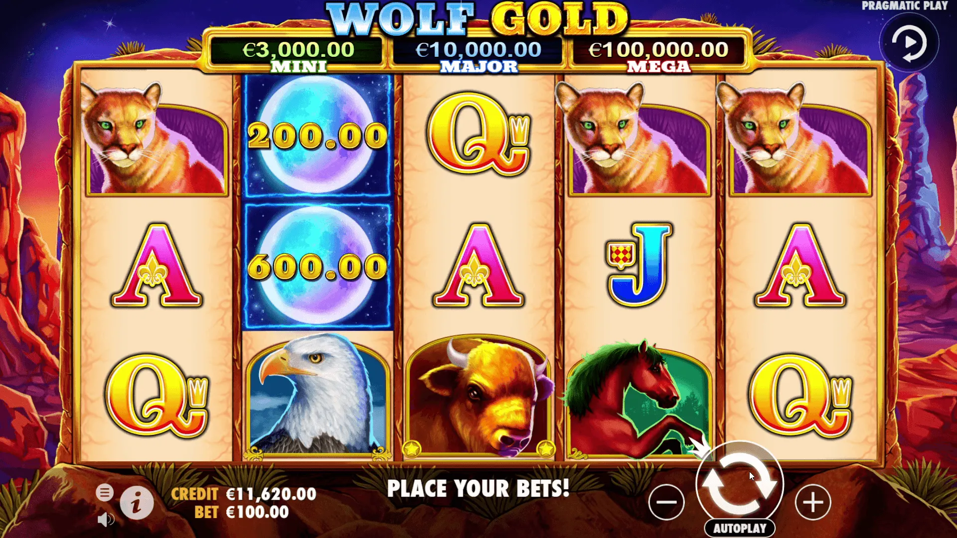 Wolf Gold Review 2026 - RTP, Bonus and Max Win preview 2