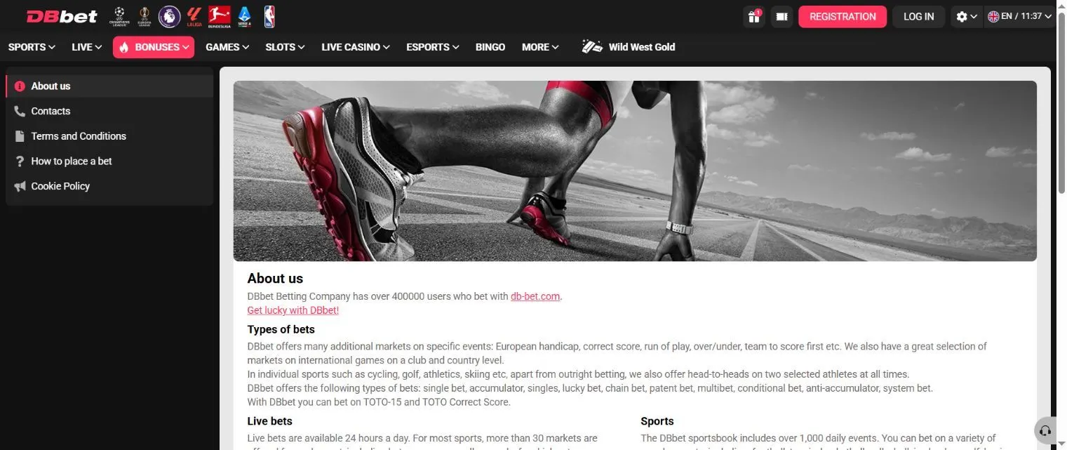 DBbet About and support page in English