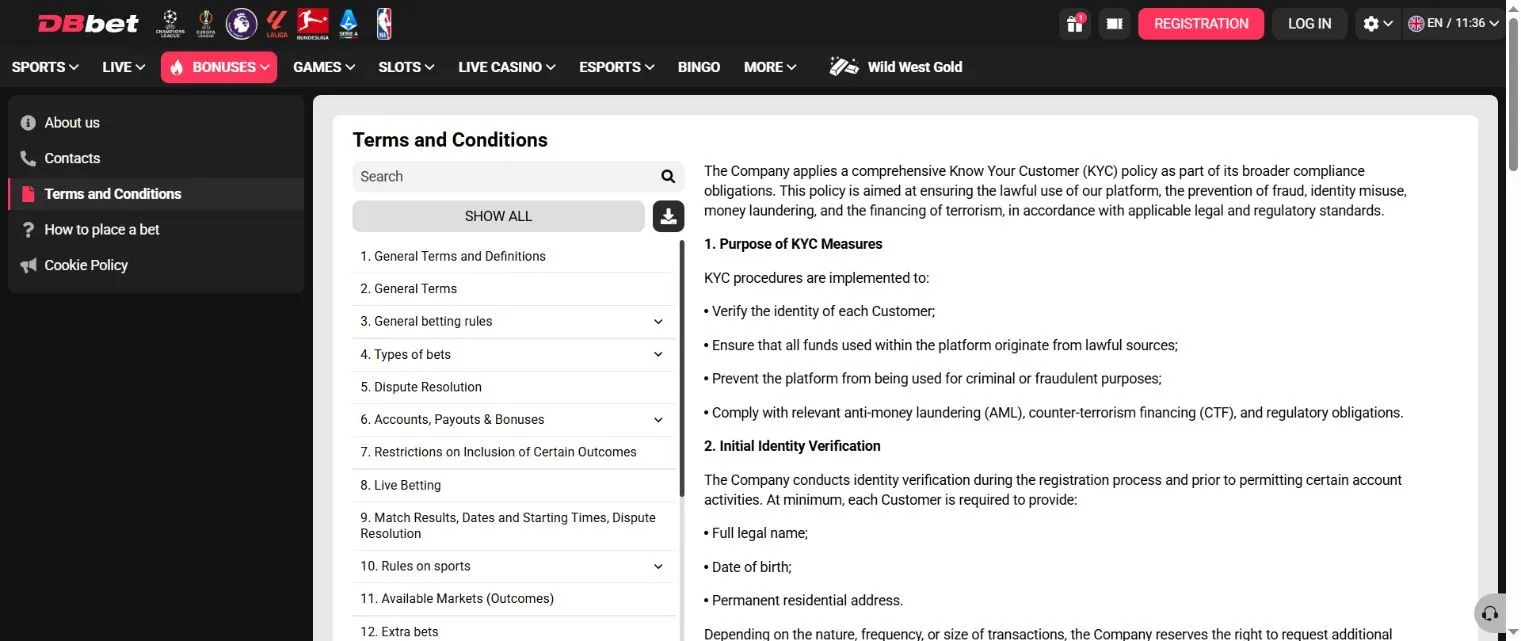 DBbet KYC policy in English