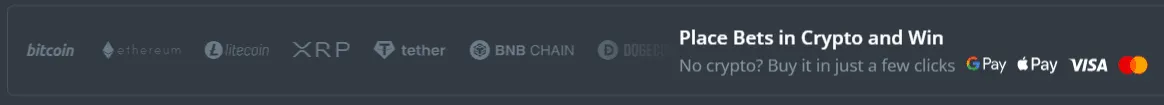 duckdice-payments.png