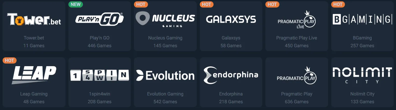 tower-bet-casino-providers.png
