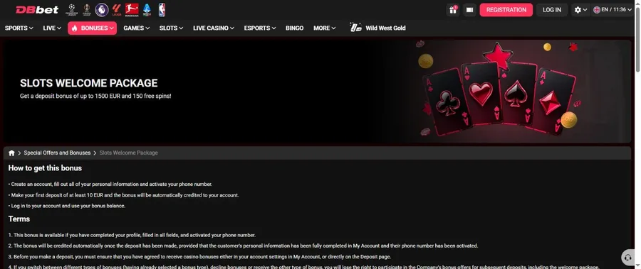 DBbet casino welcome package in English